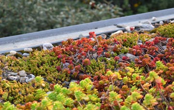 the cost of Wotter green roof installation