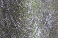 Wotter fibreglass roof work